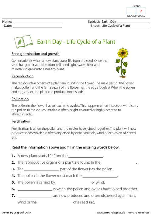 Earth Day - Life Cycle of a Plant
