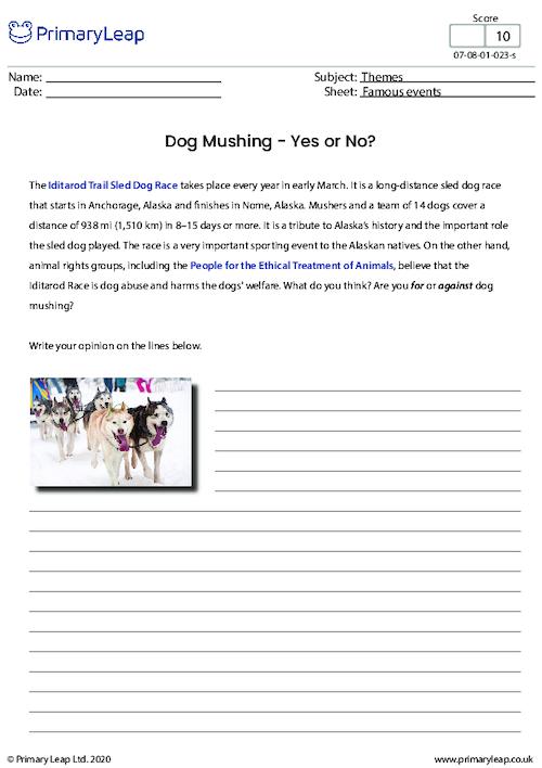Dog Mushing - Yes or No?