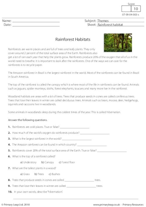 Reading Comprehension - Rainforest Habitats