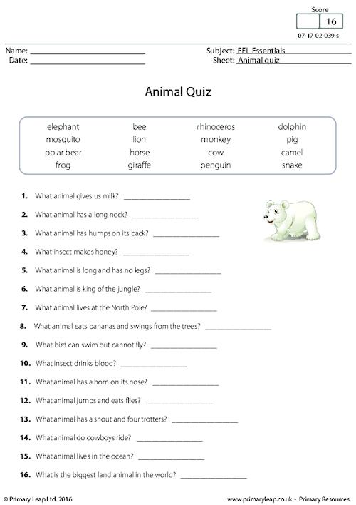 Animal Quiz