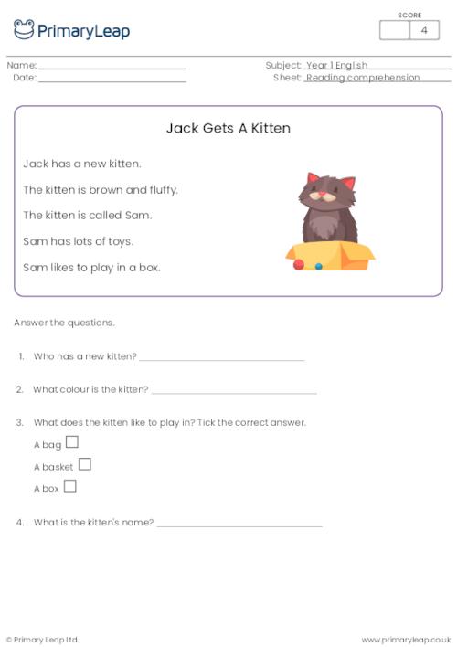 Introducing Reading Comprehension - Jack Gets A Kitten