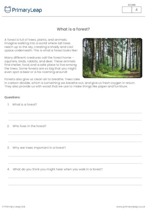 What is a Forest? Reading Comprehension Activity