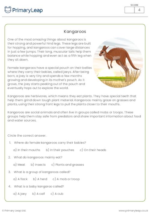 Kangaroos Reading Comprehension