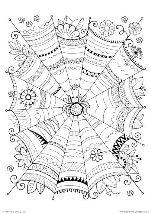 Halloween Mindfulness Colouring - Spider Web