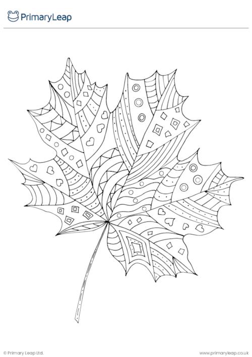 Autumn Maple Leaf Mindful Colouring Page