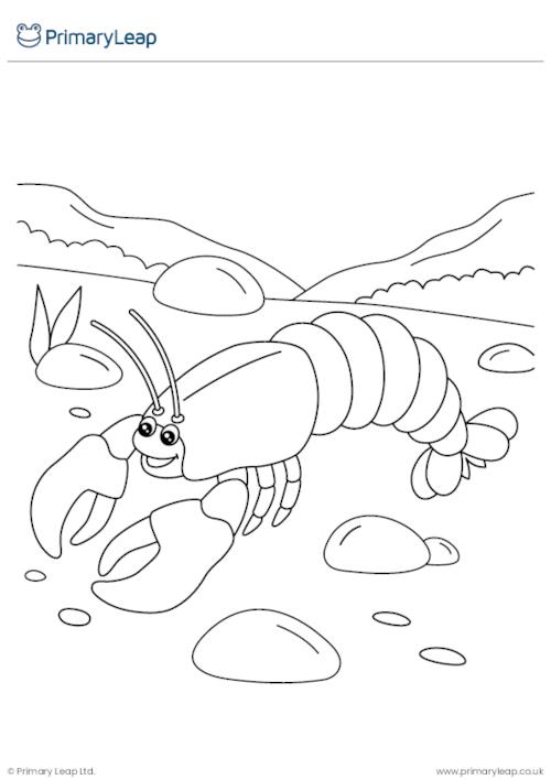 Lobster Colouring Activity