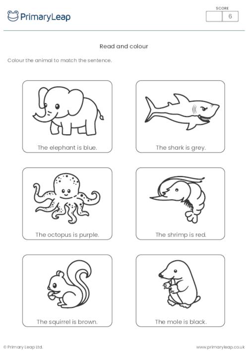 ESL Colour the Animals