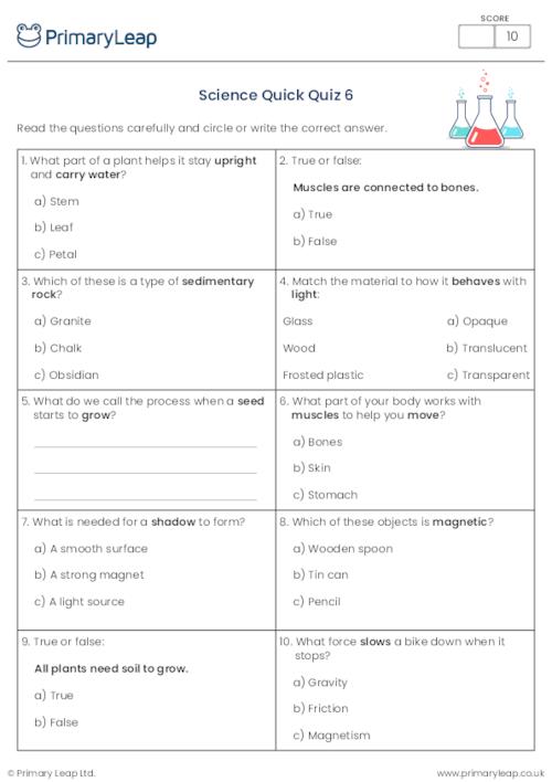 General Knowledge Y3 Science Quick Quiz 6