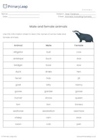 Male and female animals list