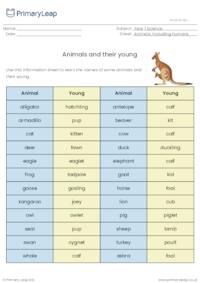 Animals and their young list
