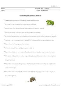 Animals - Fact sheet