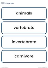 Living things and their habitats vocabulary cards