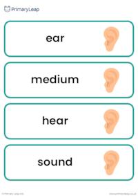 Sound vocabulary cards