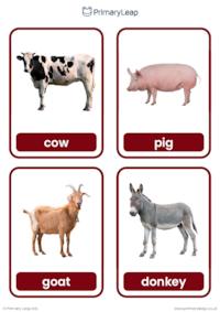 Farm animal flashcards (real images)