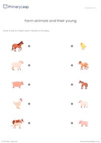 Farm animals and their young matching activity