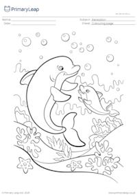 Colouring page - Dolphins swimming in the ocean