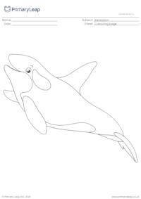 Colouring page - Killer whale
