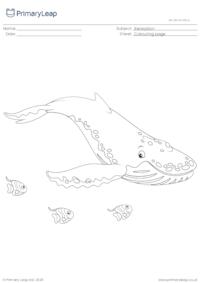 Colouring page - Humpback whale