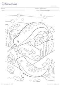 Colouring page - Narwhal family