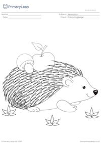 Colouring page - Hedgehog