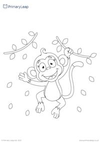 Monkey 2 colouring page