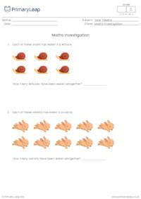 Maths investigation - Mr. Jones's garden (2)