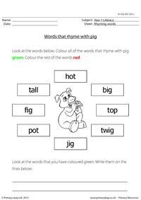 Words that rhyme with 'pig'