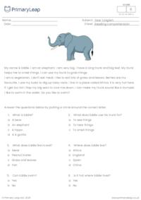Reading comprehension - I am an elephant