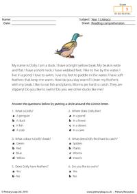 Reading comprehension - I am a duck