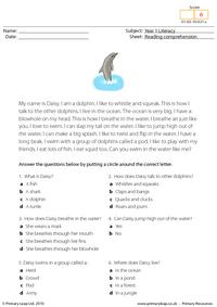 Reading comprehension - I am a dolphin