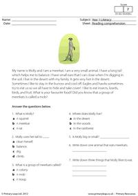 Reading comprehension - Molly the Meerkat