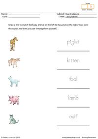 Animal names