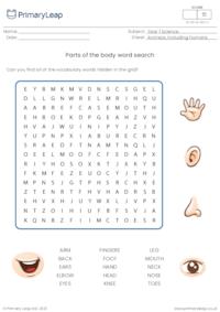 Parts of the body word search