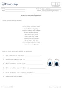 The five senses - seeing 1