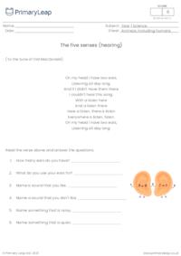 The five senses - hearing 1