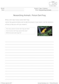 Researching Animals - Poison Dart Frog