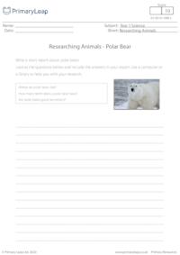 Researching Animals - Polar Bear