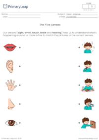 Match the five senses