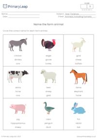 Name the farm animal