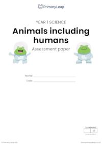 Y1 Animals, including humans assessment