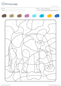Colour by number - Elephant