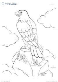 Animal colouring page - Eagle