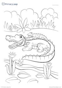 Animal colouring page - Alligator