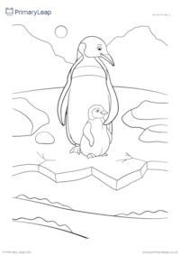 Animal colouring page - Penguin