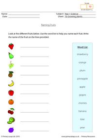 Naming fruits