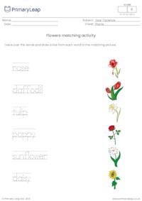 Word and picture matching - Flowers