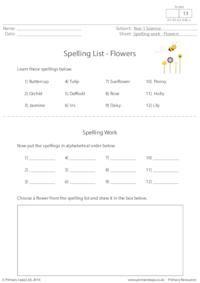Spelling List - Flowers