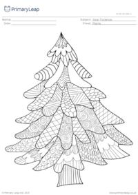 Fir tree colouring page