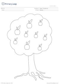 Apple tree colouring page
