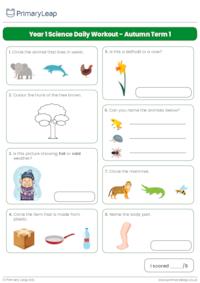 Year 1 Science Daily Workout - Autumn Term 1